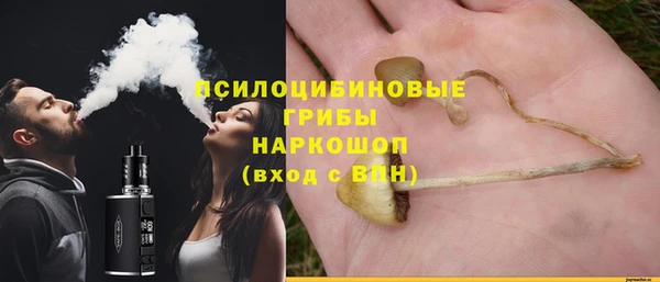 МДМА Белокуриха
