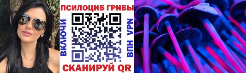 Псилоцибиновые грибы Psilocybe  где продают наркотики  Мамадыш 